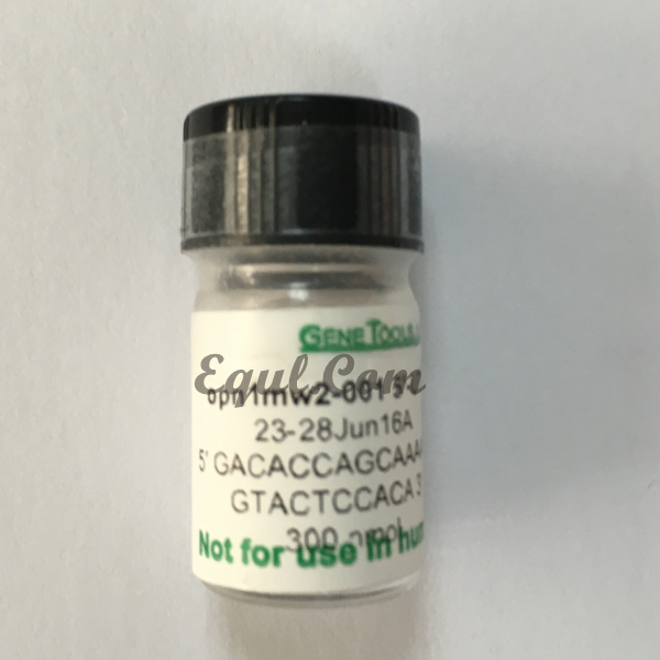 opn1mw2-001 5-UTR Morpholino oligo
